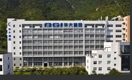 华大基因